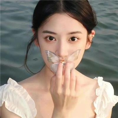 布查