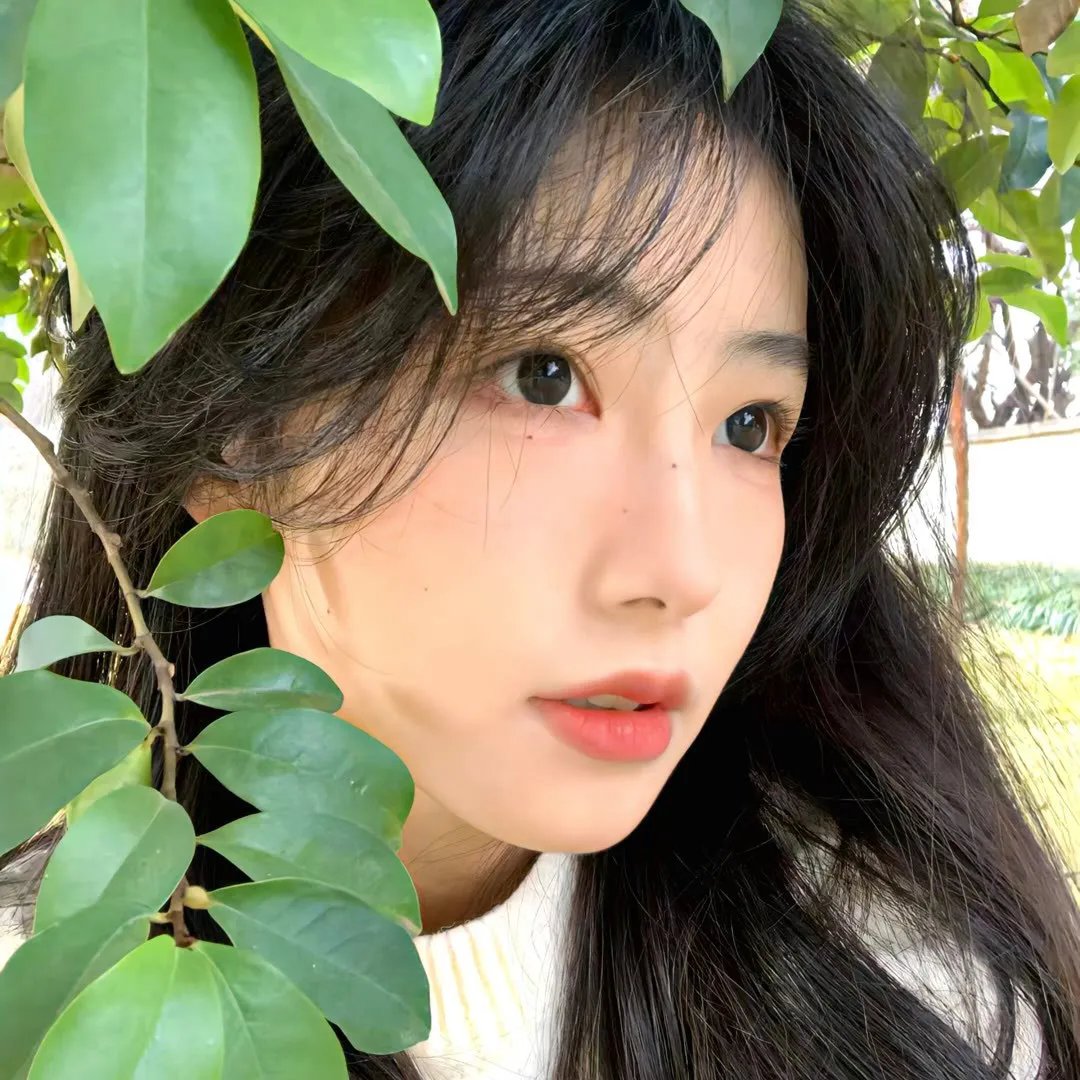 移动的影像